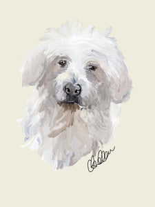 Digital Pet Portrait