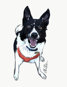 Digital Pet Portrait- Full Body