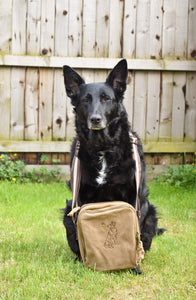 Dog Outline Cross Body Bag- For dog walking