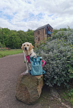 Load image into Gallery viewer, Spring Dog Breed Outline Backpack for Dog Lovers and Owners- colourful embroidered compact rucksack for your adventures
