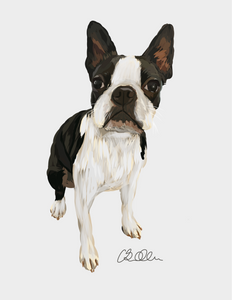 Digital Pet Portrait- Full Body