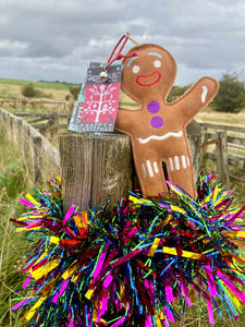 Jean Genie the Gingerbread Person - Eco Dog Toy for Christmas