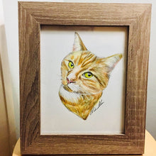 Load image into Gallery viewer, Custom Hand Drawn Pet Portrait
