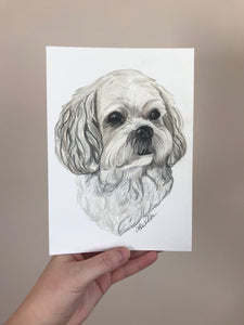 Custom Hand Drawn Pet Portrait